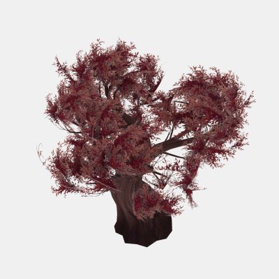 现代植物 粗干树木 