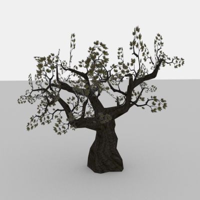 现代植物 矮树树木 