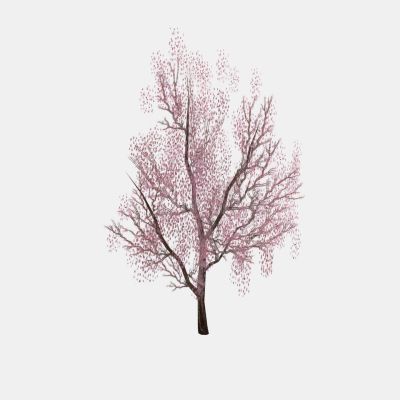 现代植物 小枝树木 