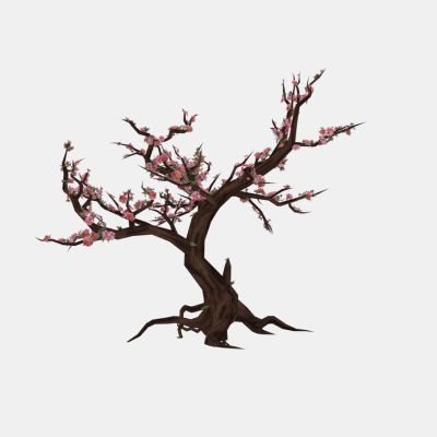 现代植物 桃花树木 