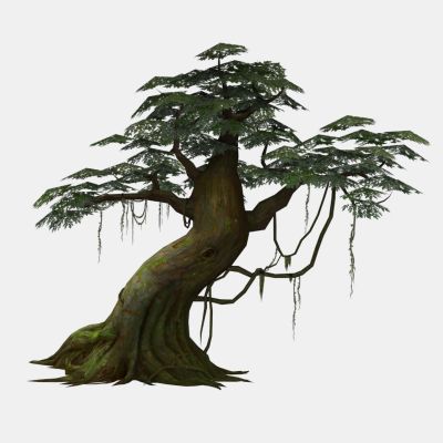 现代植物 老藤树木 