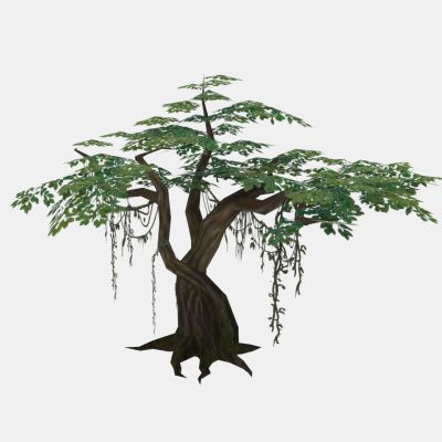 现代植物 小藤树木 