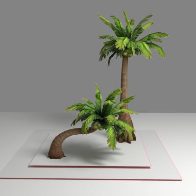 现代植物 芭蕉树木 