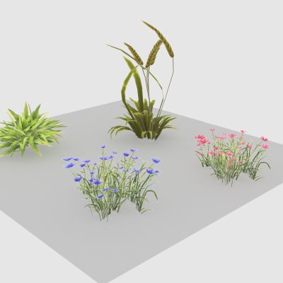 现代植物 路边野花 