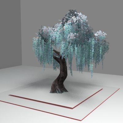 现代植物 垂叶树木 