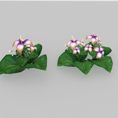 植物 路边野花3D模型