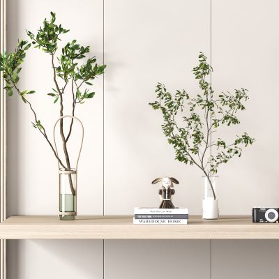 现代植物盆栽组合