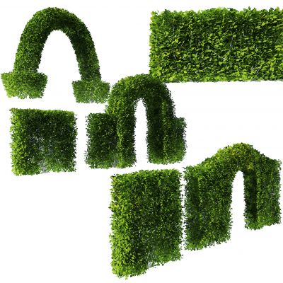 现代绿植园林灌木