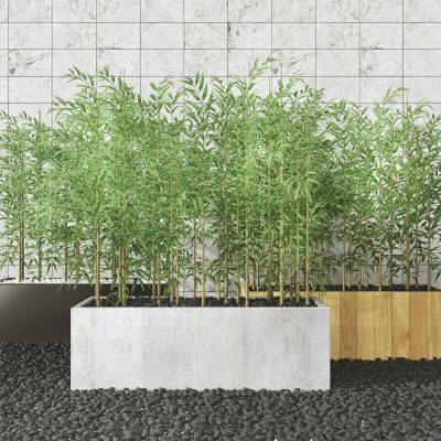 现代室外竹子盆栽