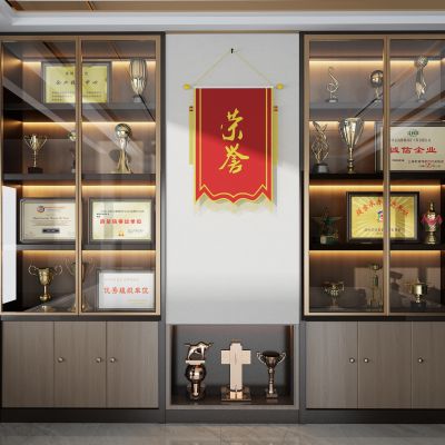 现代奖杯奖状展示柜