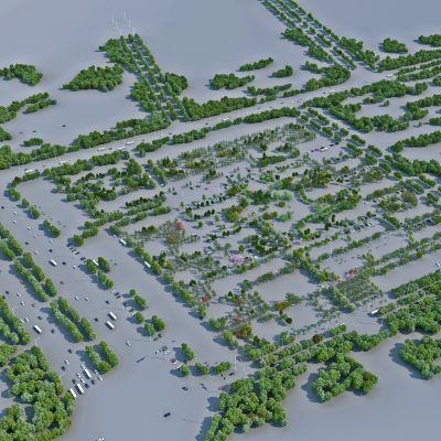 现代鸟瞰树汽车