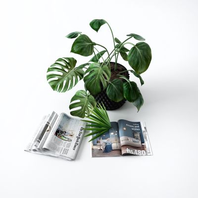 现代书籍 花瓶 杂志 报纸