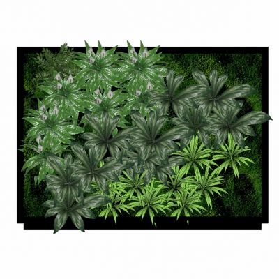 现代绿墙花架