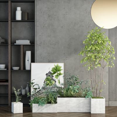 现代绿植盆栽