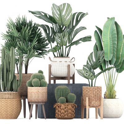 北欧现代绿植植物盆栽