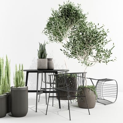 户外植物盆栽花盆