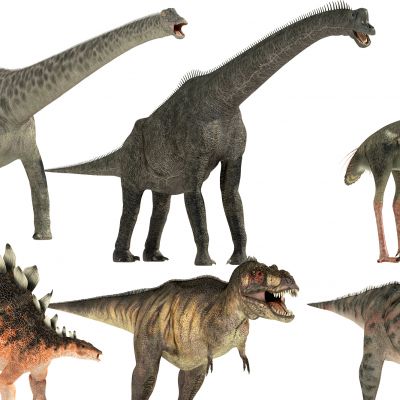 恐龙暴龙鸵鸟梁龙组合