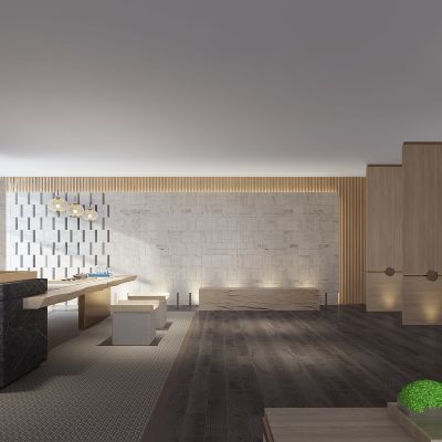 现代酒店会所接待室