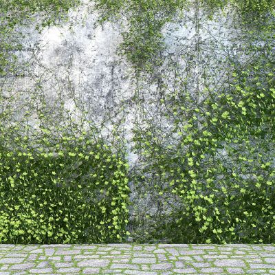 爬山虎藤蔓植物绿植植物墙