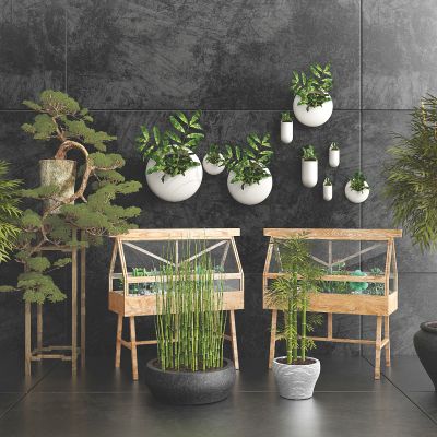 现代绿植竹子盆栽