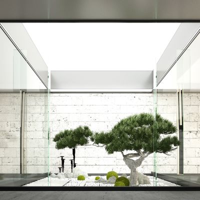 新中式天井松树景观