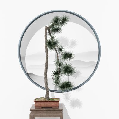 新中式松树盆栽