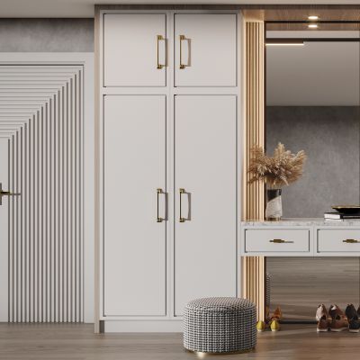 入户玄关鞋柜鞋子门