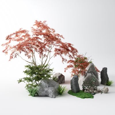 现代景观树 红枫 草 石头