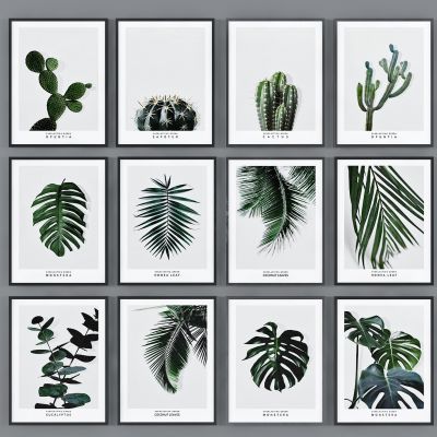 北欧植物树叶装饰画挂画