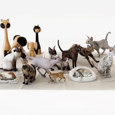 现代宠物狗宠物猫动物