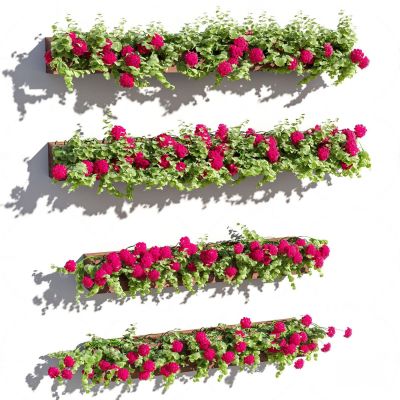 现代壁挂式花草