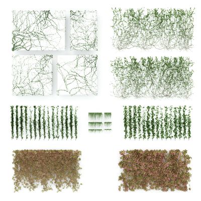 现代藤蔓植物户外墙壁绿植墙