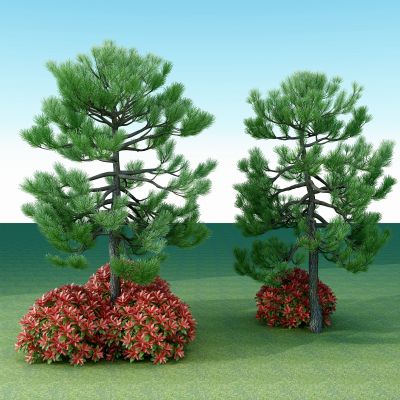 现代松树户外树