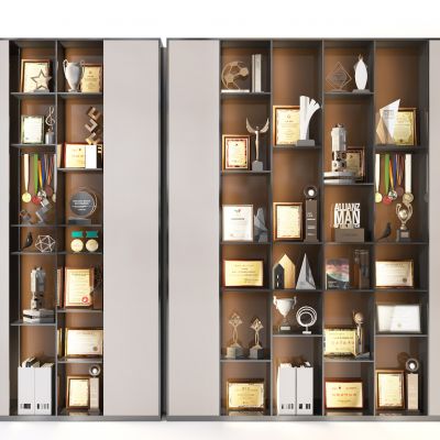 现代奖杯奖状  展示柜