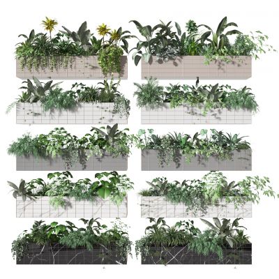 现代盆栽  花草装饰