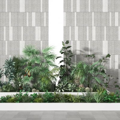 现代绿植  庭院植物墙
