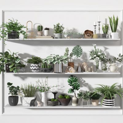 现代盆栽  花草  摆件组合