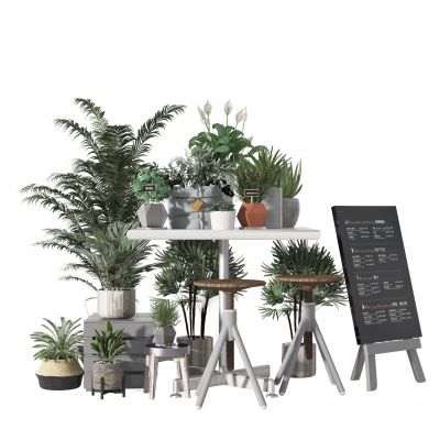 现代植物盆栽  装饰摆件