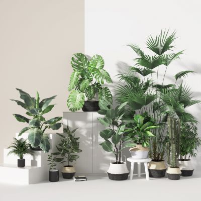 现代植物盆栽  装饰摆件