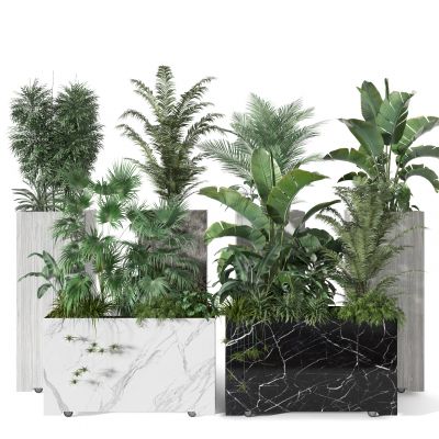 盆栽  盆景摆件