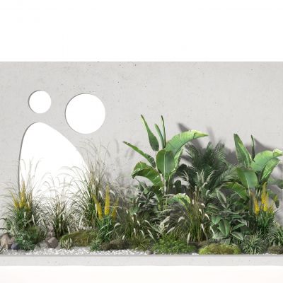 现代植物墙   花草