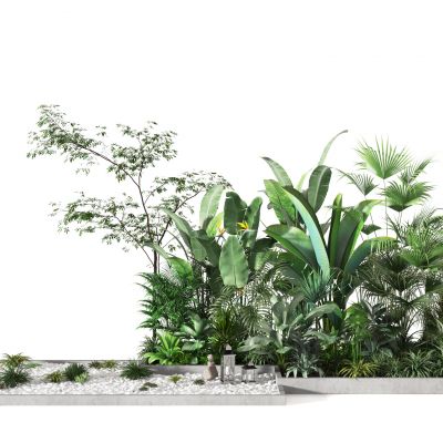 植物景观   绿植装饰