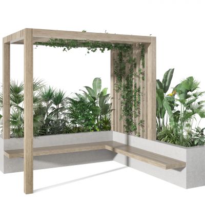 户外庭院   绿植