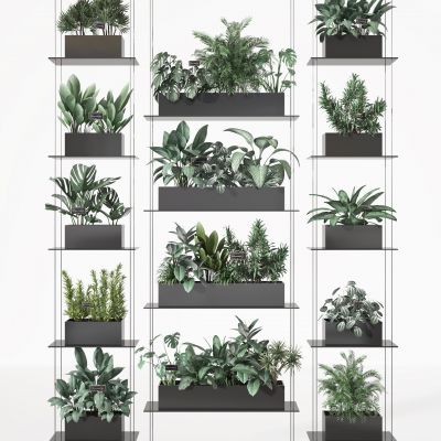 盆景    盆栽摆件