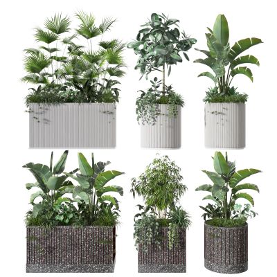 盆景    盆栽摆件