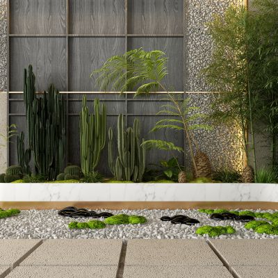 现代蕨类植物园艺花圃