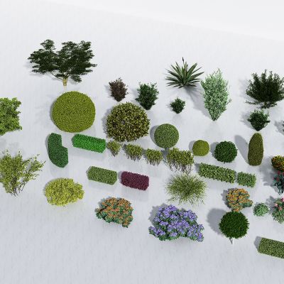 绿植，灌木，花丛，树木，绿化带，景观绿化，公园绿化，路边灌木丛