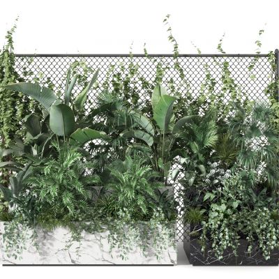 现代盆栽   花草装饰