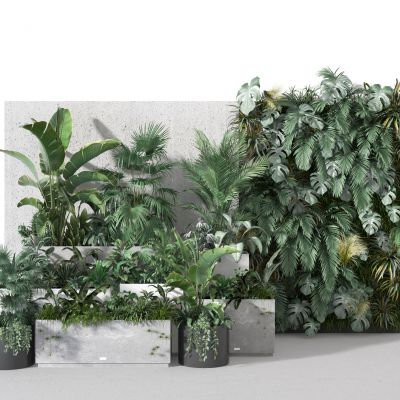现代盆栽   庭院植物墙