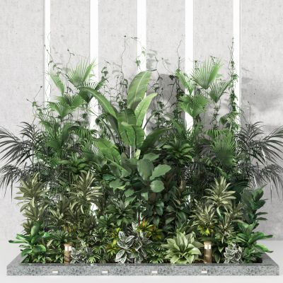 植物堆   绿植装饰